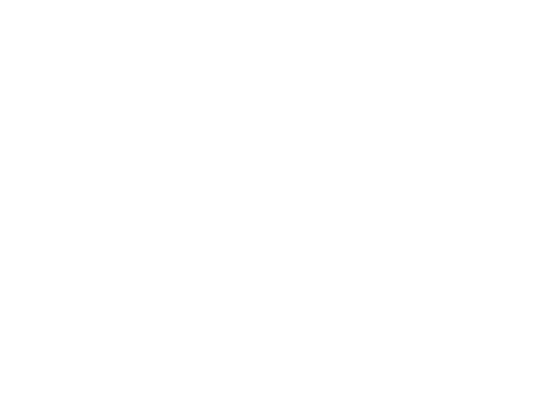 BAS Renovations