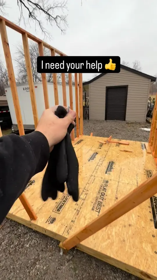 Help me decide how this shed turns out