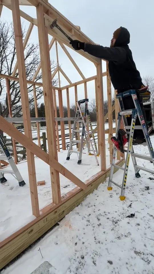 Shed build day 5: framing on the ground