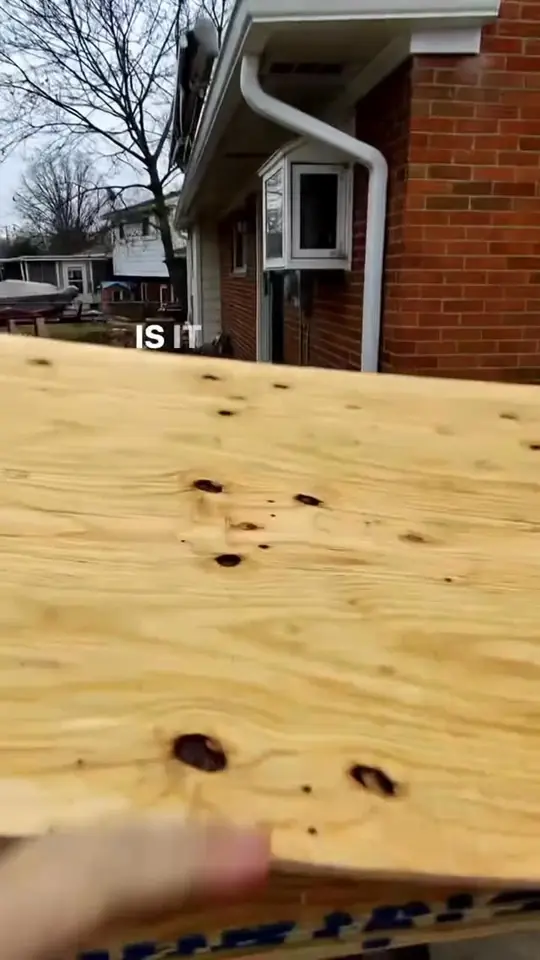 Gotta love moving plywood