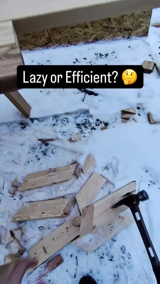 Lazy or efficient?