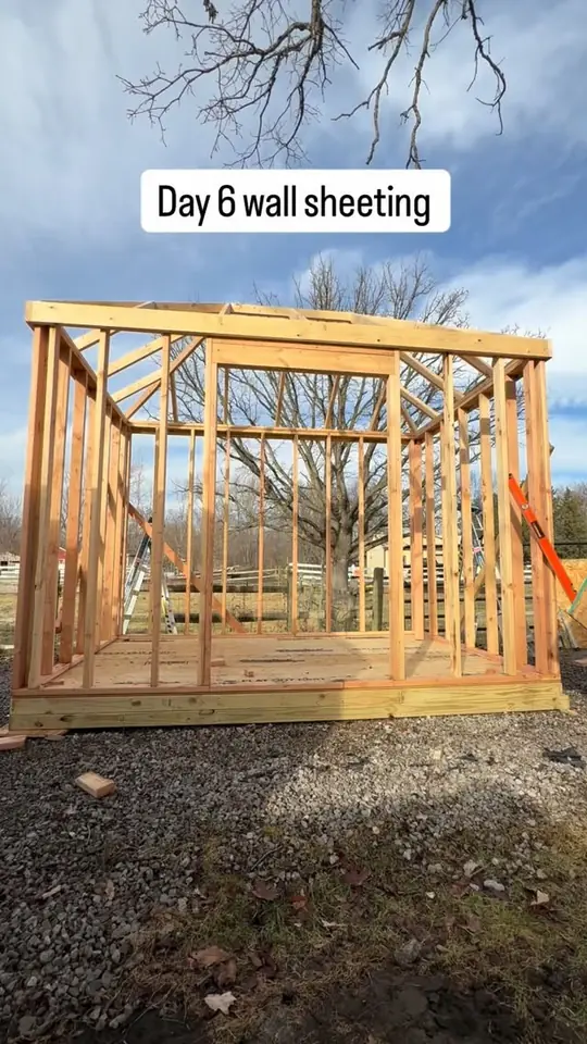 Shed build day 6: wall sheathing