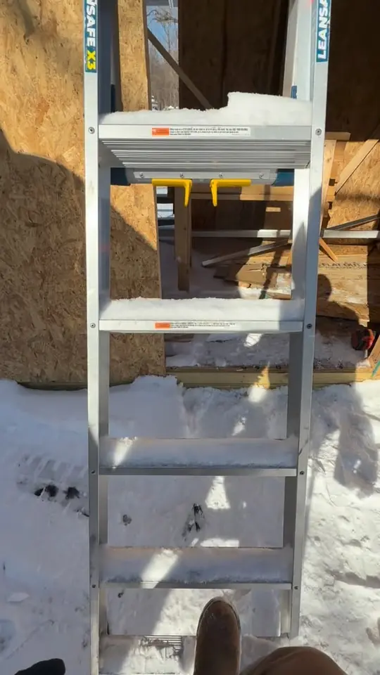 First sunny day since shingling the shed