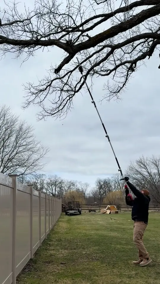 No ladder required: pole chainsaw