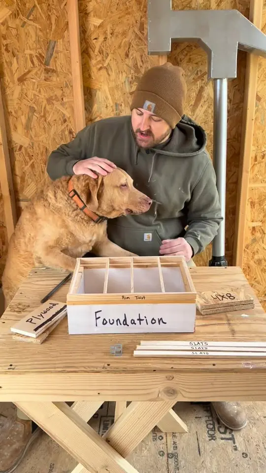 Sheathing explained